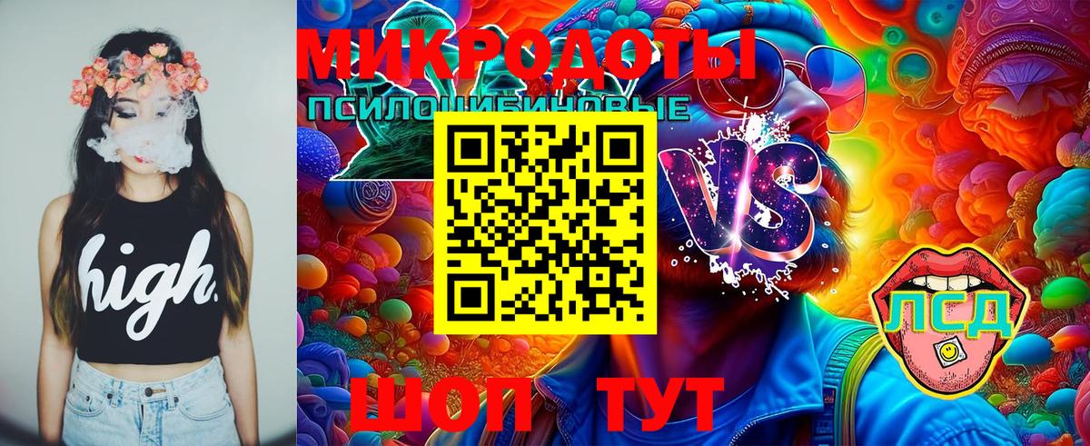 Псилоцибиновые грибы мухоморы Балтийск