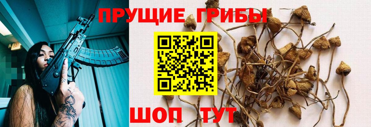 наркошоп  Галлюциногенные грибы прущие грибы  Вход с VPN  Балтийск 
